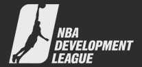 NBA development league logo