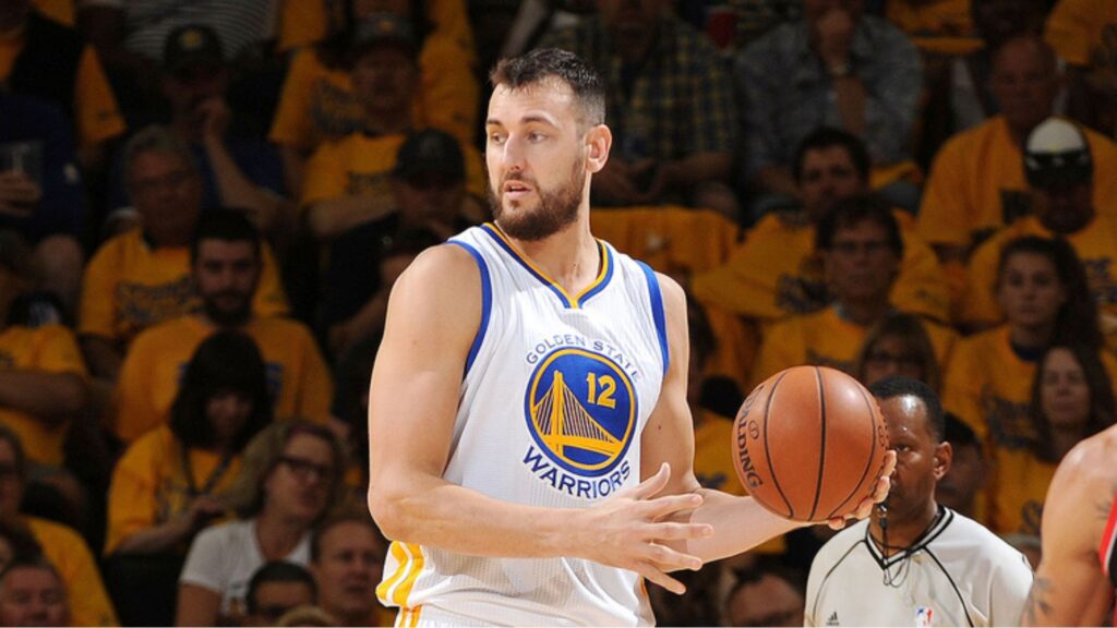 Andrew Bogut