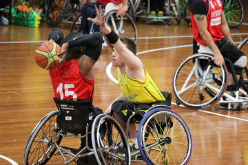 Australian Rollers